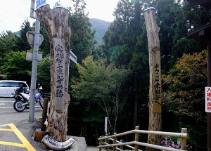 R439 奥祖谷 二重かずら橋 R439 奥祖谷 二重かずら橋