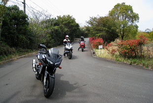 合歓の郷 合歓の郷
