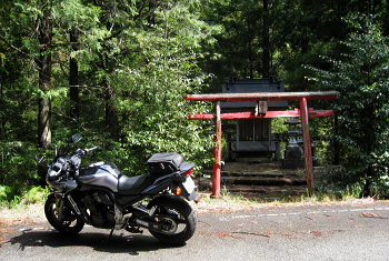将軍川林道 将軍神社 将軍川林道 将軍神社
