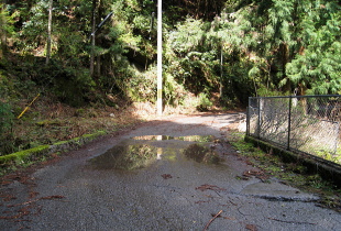 将軍川林道 将軍川林道