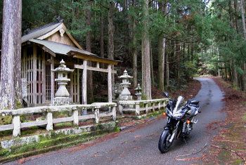 将軍川林道 八幡神社 将軍川林道 八幡神社