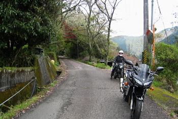 将軍川林道 将軍川林道