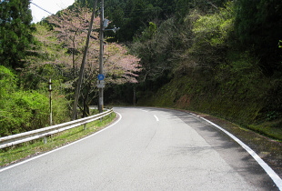 上富田すさみ線 - r36 - 卒塔婆隧道 上富田すさみ線 - r36 - 卒塔婆隧道