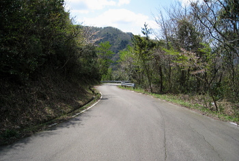 三尾御崎林道 三尾御崎林道