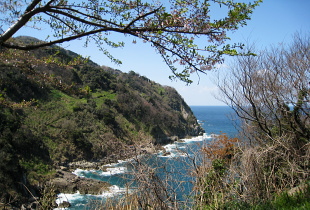 三尾御崎林道 三尾御崎林道