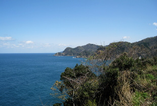 三尾御崎林道 三尾御崎林道