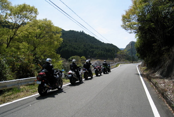 麻加江小萩林道 麻加江小萩林道