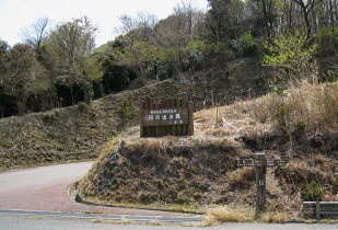 麻加江小萩林道 麻加江小萩林道