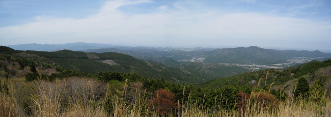 麻加江小萩林道 麻加江小萩林道