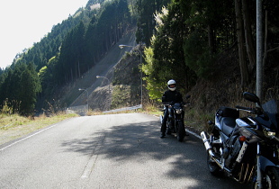 山東・朝来 林道 山東・朝来 林道