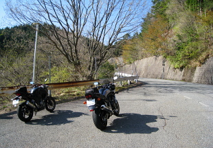 R429 - u O -