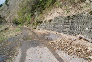 塚林道 10:40am 塚林道 10:40am