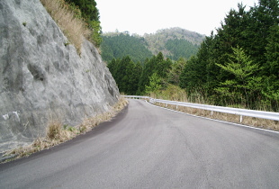 龍神本宮林道 龍神本宮林道