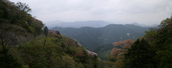 龍神本宮林道 龍神本宮林道