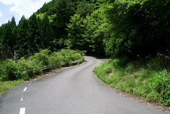 龍神本宮林道 龍神本宮林道