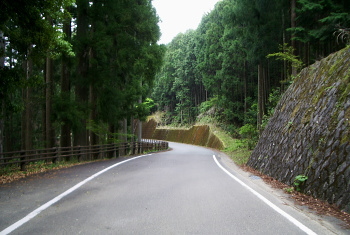 龍神本宮林道 龍神本宮林道