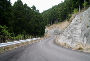 龍神本宮林道 龍神本宮林道