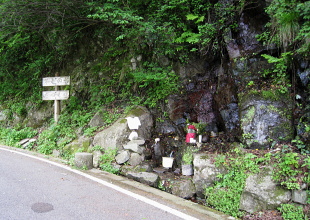 三尾御崎林道 - 不老の水・だっくりの水 三尾御崎林道 - 不老の水・だっくりの水