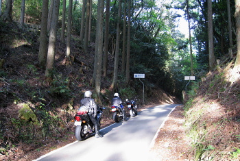 大河内口八田線 中山峠 大河内口八田線 中山峠