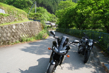 沼谷林道 沼谷林道
