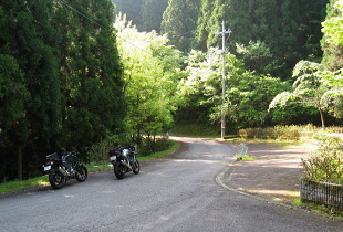 沼谷林道 沼谷林道