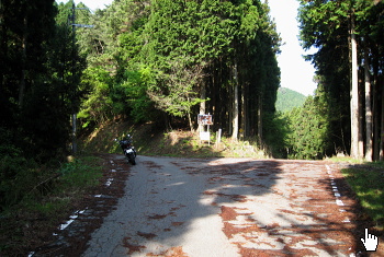 沼谷林道 地蔵峠 沼谷林道 地蔵峠