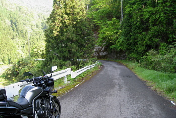 沼谷林道 沼谷林道