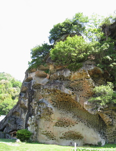 高池の虫喰岩 高池の虫喰岩