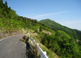 鳥越林道 鳥越峠 鳥越林道 鳥越峠