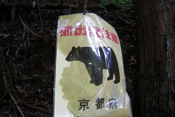 塔下弓削線 - r366 - 狭間峠 塔下弓削線 - r366 - 狭間峠