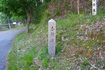 R429 志引峠 R429 志引峠