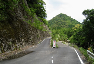 林道小匠小森川線 林道小匠小森川線