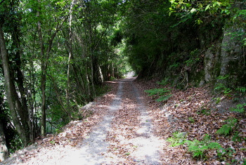 樫山小匠林道 樫山小匠林道