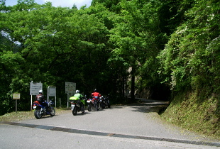 川津今西林道 川津今西林道