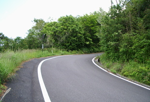 三浜瀬崎林道 三浜瀬崎林道