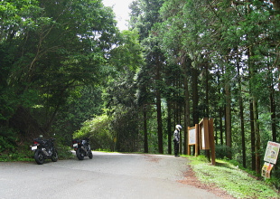 雪彦峰山林道 雪彦峰山林道