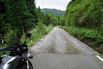 雪彦峰山林道 雪彦峰山林道
