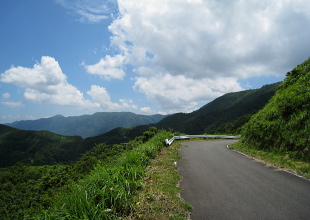 美作北2号林道 美作北2号林道