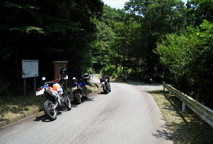 麻加江小萩林道 麻加江小萩林道
