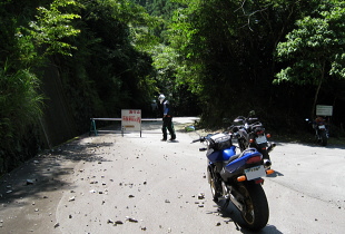 大紀南島林道 大紀南島林道