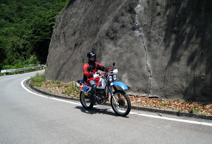 大紀南島林道 大紀南島林道