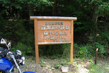 麻加江小萩林道 麻加江小萩林道