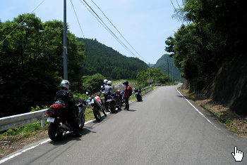 麻加江小萩林道 麻加江小萩林道