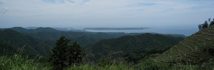 和深鶴川林道 和深鶴川林道