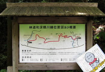 和深鶴川林道 和深鶴川林道