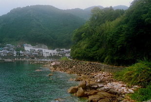 R311 熊野市甫母町 R311 熊野市甫母町