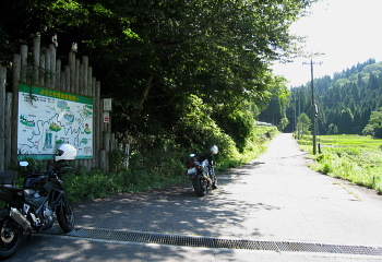 河合谷林道 河合谷林道