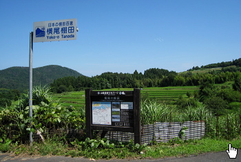 横尾棚田 横尾棚田