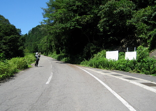 池ノ尾林道 池ノ尾林道