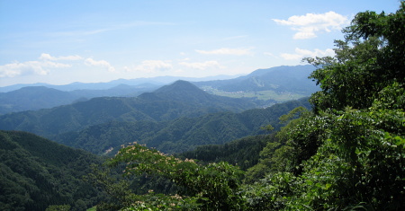 池ノ尾林道 池ノ尾林道